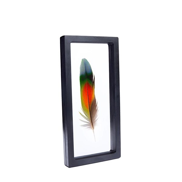Feather Display Case